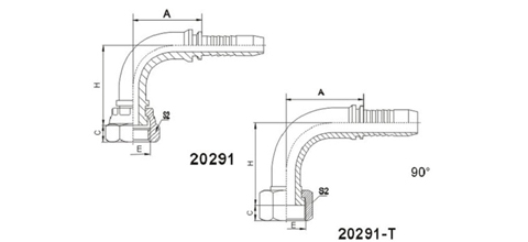 20291